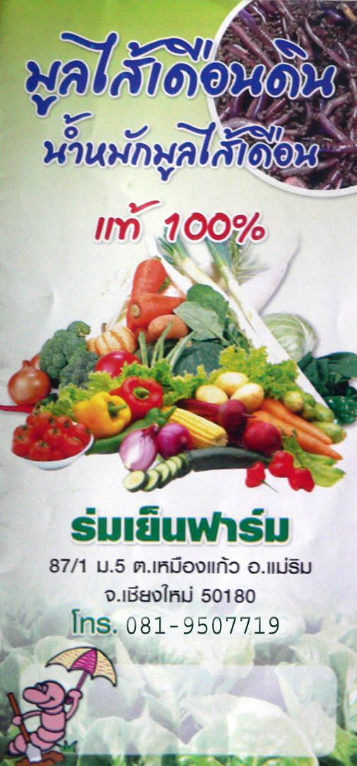 ��������͹�Թ �����ѡ��������͹�Թ 100% �����繿���� ��§����